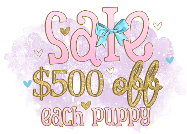 SALE!!  ANY PUPPY LISTED HERE IS $500 OFF OF THE PRICE SHOWN
